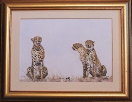 Cheetah Mother & Daughters Africa Watercolour Painting Doug Hague Watercolours