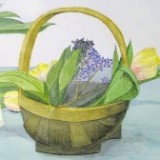 Still Life Watercolour and Acrylic Paintings Gallery Doug Hague Watercolours