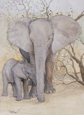 Elephant Mother and Child watercolour painting Doug Hague Watercolours