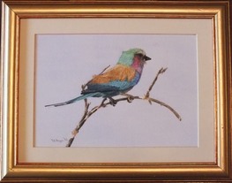Lilac-breasted Roller Botswana Africa Watercolour Painting Doug Hague Watercolours