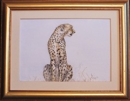 Cheetah Mother Africa Watercolour Painting Doug Hague Watercolours