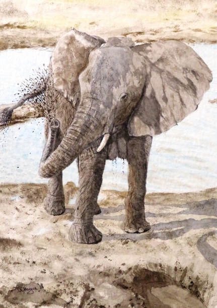 Doug Hague Watercolours painting Elephant Mud Bath Chobe Safari Park Botswana