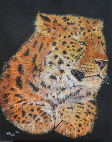 Leopard close-up acrylic painting Africa Doug Hague Watercolours 