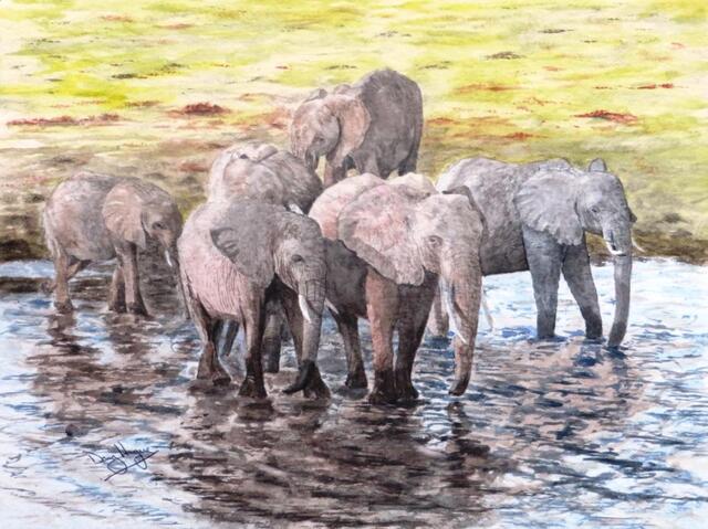 Doug Hague Watercolours painting Chobe Safari Park Botswana Africa Elephants