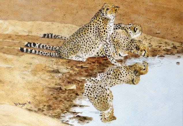 Three Cheetahs at Waterhole Doug Hague Watercolours South Africa