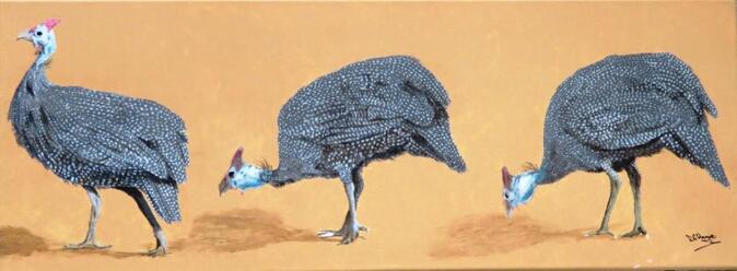 Doug Hague Watercolours Acrylic on canvas painting South Africa Guineafowl birds