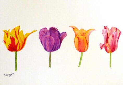 Doug Hague Watercolours Painting Tulips 1 Keukenhof Holland