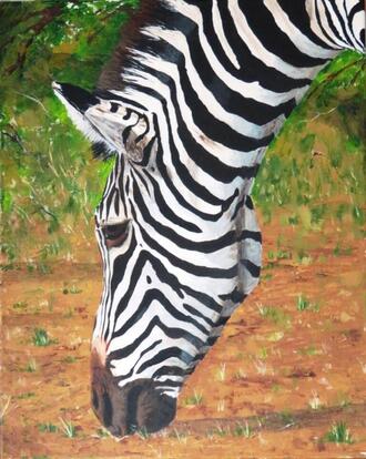 Doug Hague Watercolours Zebra Head Acrylics on canvas