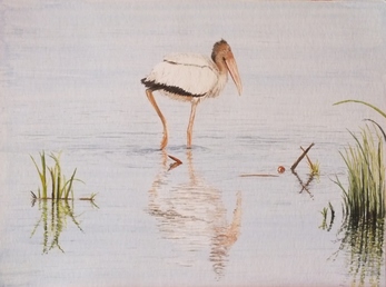 Wood Stork Doug Hague Watercolours